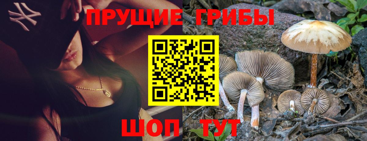Псилоцибиновые грибы Psilocybine cubensis  Вход с VPN  Кунгур  Галлюциногенные грибы ЛСД 